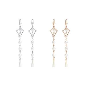 (은침) 애드 롱 태슬 귀걸이