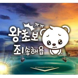 곰돌이의왕초보죄송해욥 초보자동차스티커-화이트