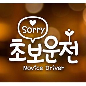 문구 쏘리 초보 초보운전스티커-화이트