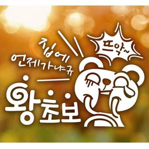 언제가냐 왕초보 곰돌이 초보운전스티커-화이트