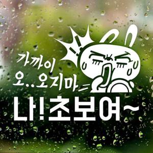 가까이 오지마 나 초보여 4탄 초보운전스티커-반사