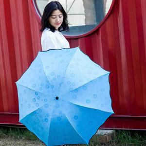 고급우산 비를 맞으면 벚꽃이 피어나는 3단우산 블루