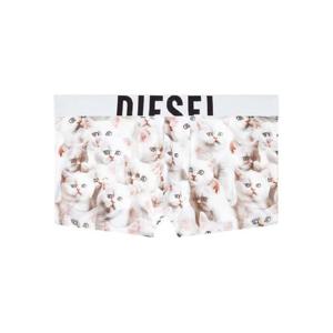 25 FW 디젤 데미안 트럭 프린트 팬티 A177440DLBD TP439798198