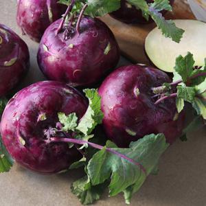 아삭아삭 달큰한 국내산 햇 콜라비 2kg