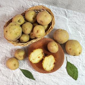 [더조은] 해남 산지직송 수미감자 대 10kg (70-130g 내외)