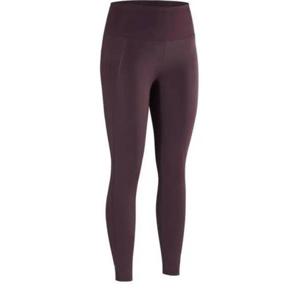 아크테릭스 트레이닝 티셔츠 APOFWX7856 PNT Free PHANTASM