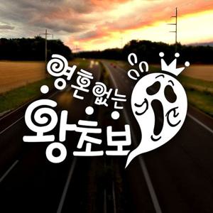 영혼없는 왕초보 초보운전스티커-반사