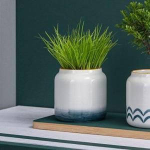 포레스트 미니 도자기 화분(그라데이션) 다육이화분