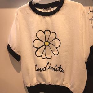 오프리미츠 HC13 화이트 데이지꽃 M25TS1508