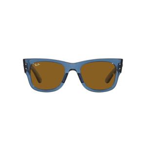 [레이반] 선글라스 RB0840SF MEGA WAYFARER TRANSPARENT BLU FrameBROWN Lens 52