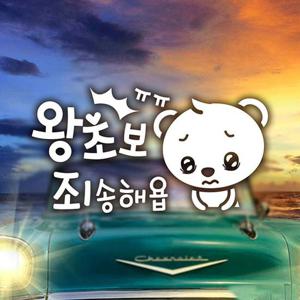 곰돌이의왕초보죄송해욥 초보자동차스티커-반사