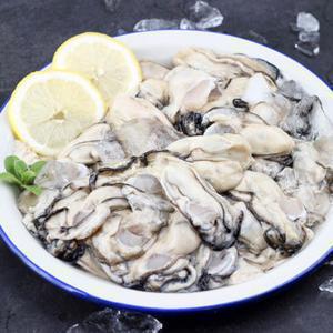 거제도 햇 생굴 국내산 손질 굴 깐굴 500g