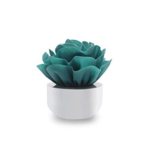 [무케] 엠아이디자인_미니 천연 가습기(HND-0016) (2colors)