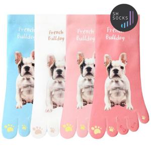 서한양말 강아지시리즈 발가락양말 프렌치불독