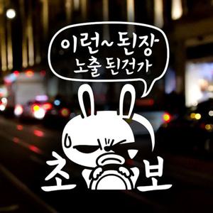 이런 된장 노출된건가 초보운전스티커-반사(A타입)