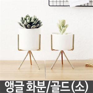 미니화병 앵글 화분 식물 다육이 도자기 미니 화병 골드 소