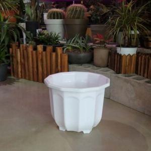 12각 플라스틱 화분 (7호) 25x19cm 화이트