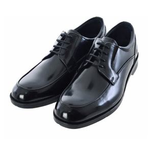 [에스콰이아(남성화)]남성 정장 구두 PFESHD083BK