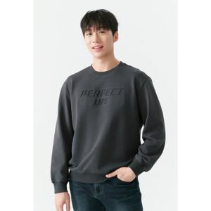 남성) 특양면 엠보 세미오버핏 스웻 티셔츠 AP3WMT505-CH