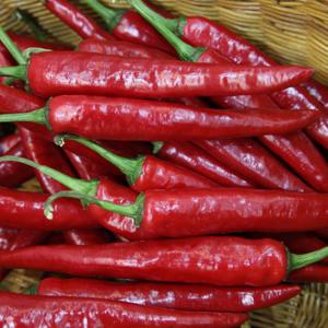 산정마을 국내산 홍고추(특품) 1kg