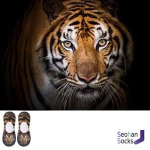 호랑이가 프린트된 특이한 양말
