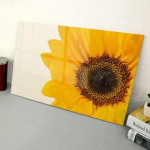 아트박스/꾸밈 ia878-아크릴액자_풍요의해바라기02(대형)