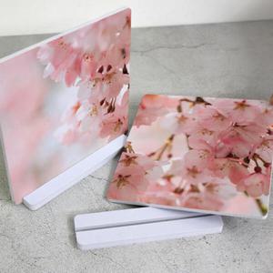 아트박스/꾸밈 tm631-스탠드액자2P_팝콘같은벚꽃02