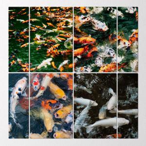 아트박스/꾸밈 pf081-멀티액자_재물복이넘치는풍수잉어