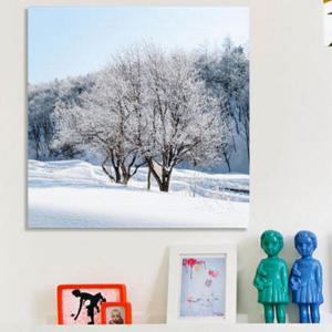 아트박스/꾸밈 ia914-아크릴액자_겨울이찾아온나무(중형)