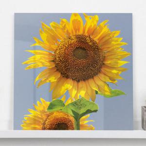 아트박스/꾸밈 th197-아크릴액자_우뚝솟은해바라기(중형)