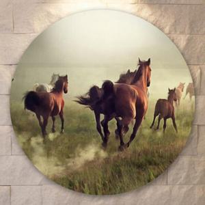 아트박스/꾸밈 tf721-원형아크릴액자_성공을향해질주하는말