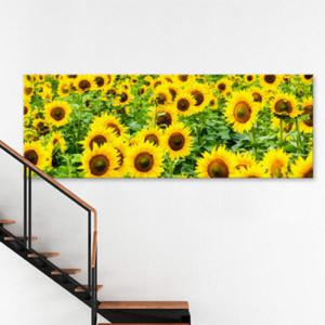 아트박스/꾸밈 cv654-노오란해바라기밭_대형노프레임