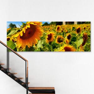 아트박스/꾸밈 cv658-순수의해바라기_대형노프레임