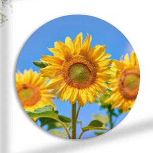 아트박스/꾸밈 tg500-원형아크릴액자_행복의해바라기