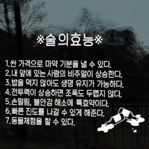 아트박스/꾸밈 cd579-술의효능_그래픽스티커