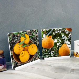 아트박스/꾸밈 ps587-스탠드액자2P_제주한라봉02