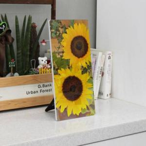 아트박스/꾸밈 ac139-폼아크릴액자18CmX38Cm_해바라기두송이