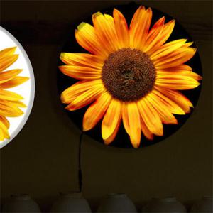 아트박스/꾸밈 nh665-LED액자35R_행복을주는해바라기