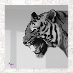 아트박스/꾸밈 pf998-아크릴액자_포효하는호랑이(중형)