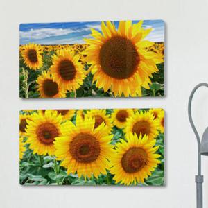 아트박스/꾸밈 ta846-폼아크릴액자38CmX18Cm_태양과해바라기