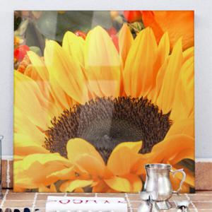 아트박스/꾸밈 cd956-아크릴액자_풍요가득해바라기(중형)