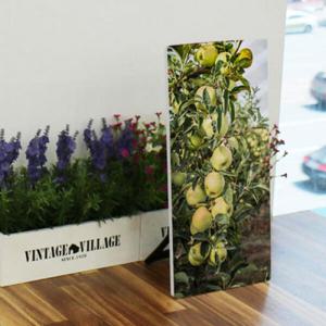 아트박스/꾸밈 ts722-폼아크릴액자18CmX38Cm_풋사과나무