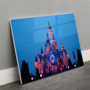 아트박스/꾸밈 da408-폼아크릴액자58CmX38Cm_도쿄디즈니랜드