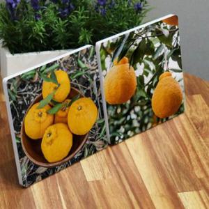 아트박스/꾸밈 ps585-폼아크릴액자18CmX18CmX2ea_제주한라봉02