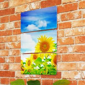 아트박스/꾸밈 nm100-멀티아크릴액자_하늘과해바라기(3단)