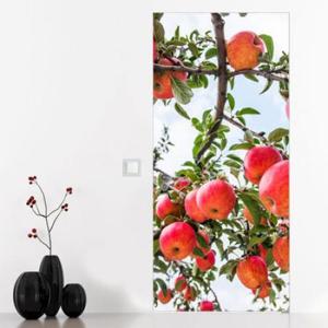 아트박스/꾸밈 ga457-나무의빨간사과_현관문시트지