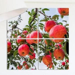 아트박스/꾸밈 ga996-멀티액자_풍수새빨간사과02