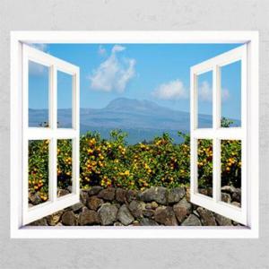 아트박스/꾸밈 bh732-제주도감귤나무돌담_창문그림액자