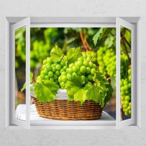 아트박스/꾸밈 td823-샤인머스켓_창문그림액자