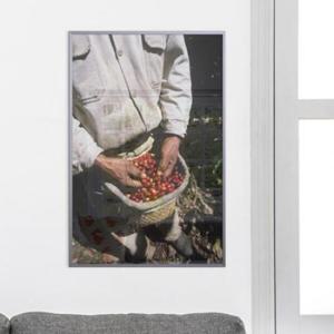 아트박스/꾸밈 cq444-커피콩재배_중형메탈액자